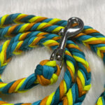 Geflochtene Paracord Leine