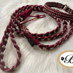 Paracord Leinen und Halsband Set