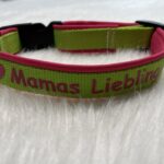 Genähtes Halsband