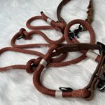 Retrieverleine mit Takelung und Leder-Handschlaufe und dazu passendem Halsband