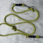 Tauleine mit Takelung und zwei Karabiner